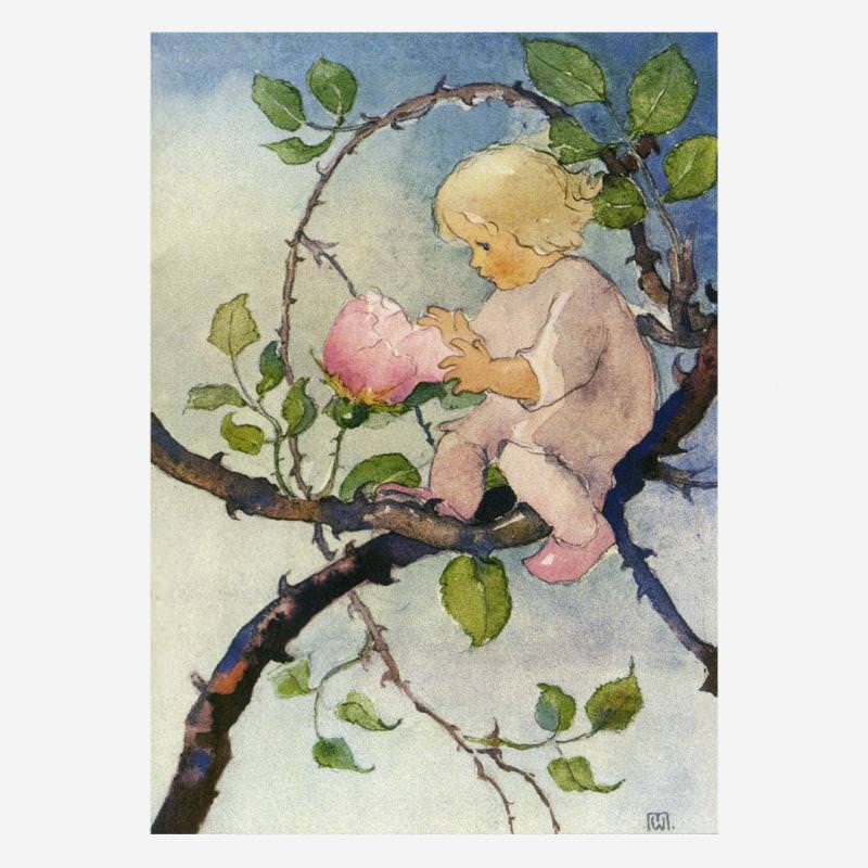 Postkarte „Rosenmärchen“ von Milli Weber