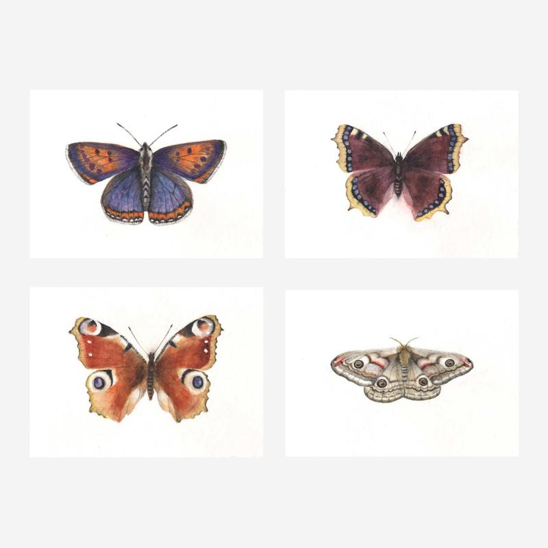 Postkarten Set „Schmetterlinge" von Ode Desjardins 6