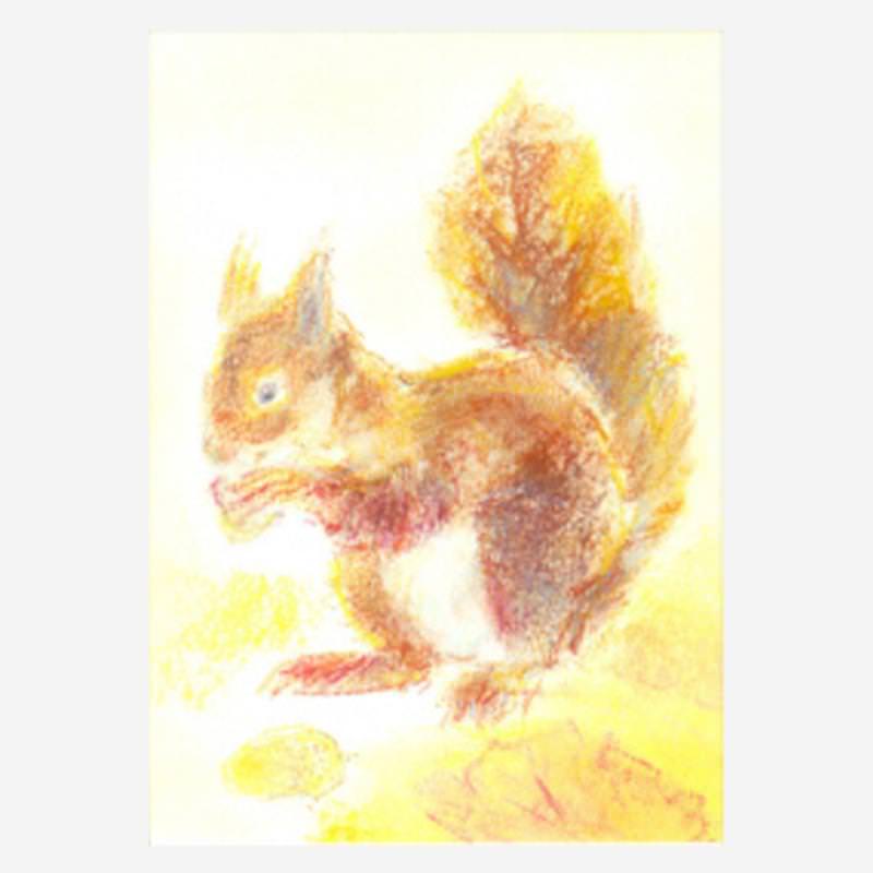 Postkarte „Eichhörnchen“ von Carla Grills