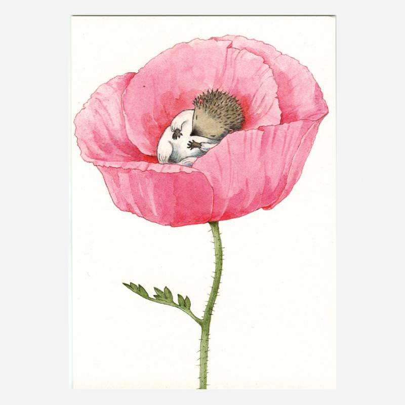 Postkarte „Baby Igel in Blüte“ von Lena Andersson