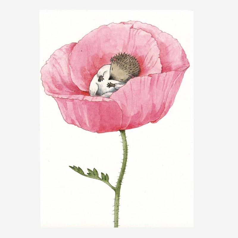 Postkarte „Baby Igel in Blüte“ von Lena Andersson