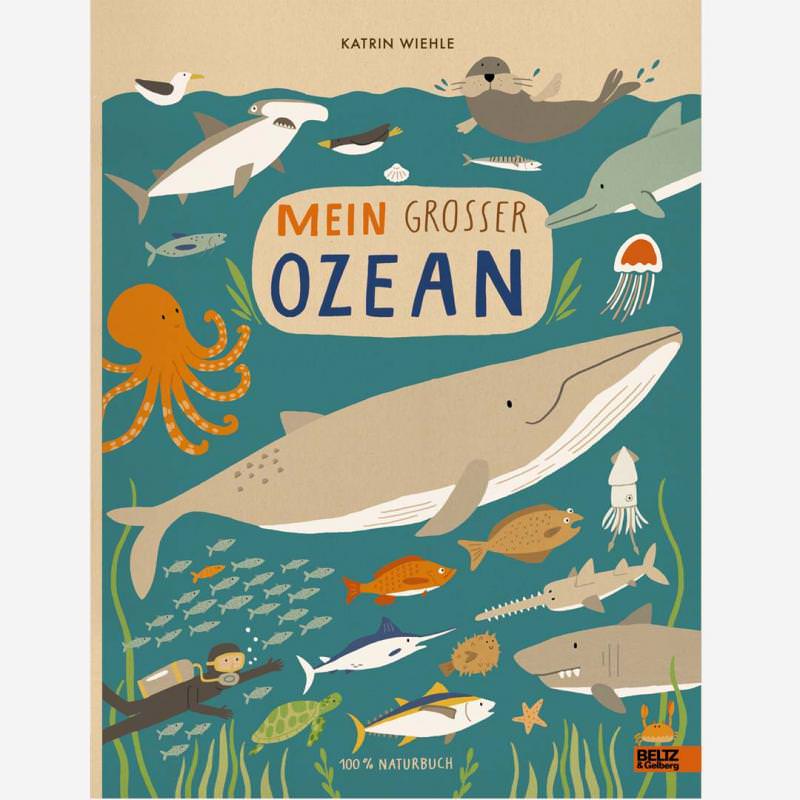 Buch „Mein großer Ozean" von Kathrin Wiehle