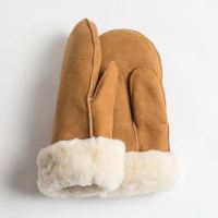 Handschuhe & Stulpen