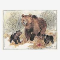 Postkarten mit Tiere