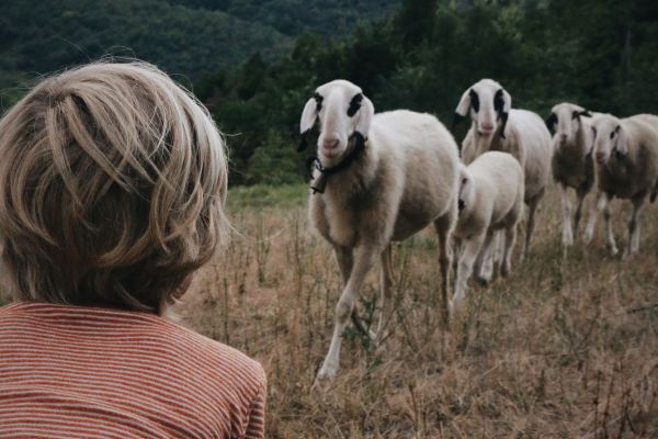 Kontrolliert biologische Tierhaltung (kbT): Was das bedeutet und warum es für Dein Kind wichtig ist - Kontrolliert biologische Tierhaltung (kbT) einfach erklärt