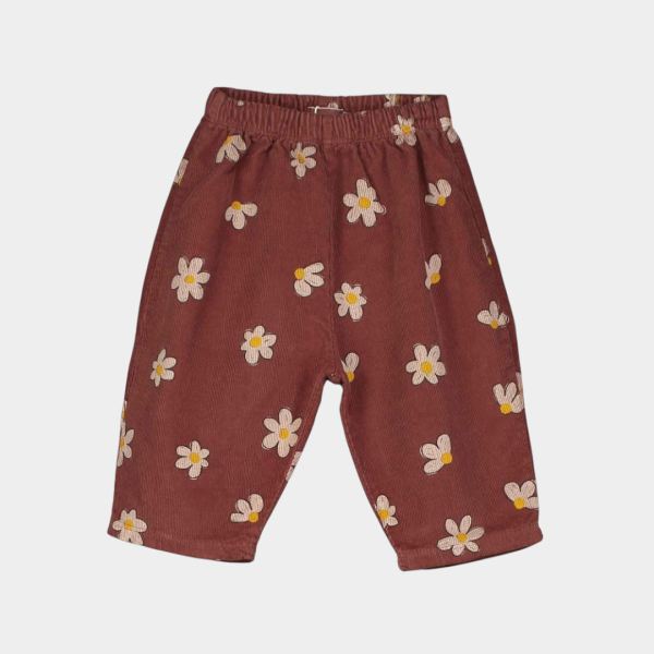 Baby Cord Hose Bio-Baumwolle daisies brown