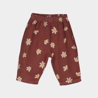 Baby Cord Hose Bio-Baumwolle daisies brown