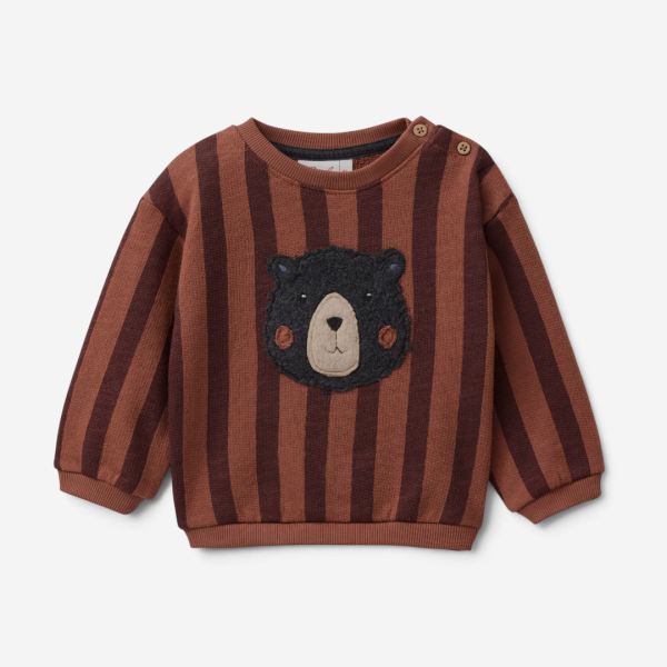 Baby Pullover Bio-Baumwolle