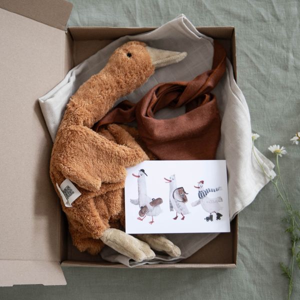 Geschenke Set Gänseglück