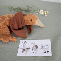 Geschenke Set Gänseglück