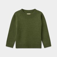 Rollkragenpullover Merinowolle