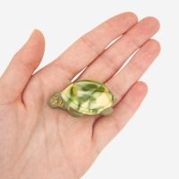 Mini Haarklammer Schildkröte