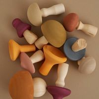Pilze Set Mushrooms aus Holz