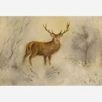 Postkarten Set „Tiere von Ode Desjardins 6