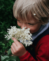 Kinder Unterhemd von Hocosa aus Wolle/Seide 3