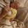 Baby Pullunder Harvey von Hvid aus Merinowolle in light yellow 5