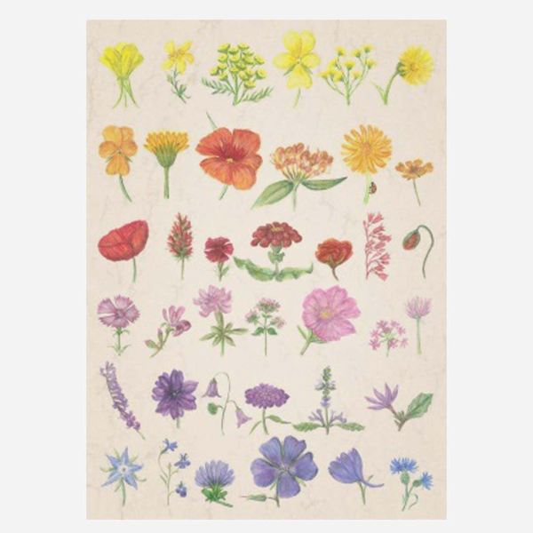 Postkarte „Sommerregenbogen von Anna Lübsee