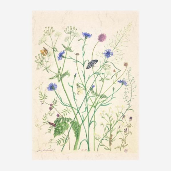 Postkarte „Am Feldrand“ von Anna Lübsee