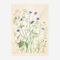 Postkarte „Am Feldrand“ von Anna Lübsee