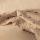 2er Pack Musselintuch Lewis Baumwolle sandy/mini whale