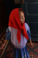 Dreiecksschal Josephina Merinowolle red