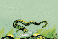 Buch "Aali muss los"