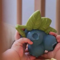 Beißring Blaubeere Jerry