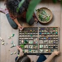 Holzbäume Set Forrest Tree 18 teilig