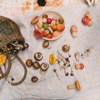 Pilze Set Mushroom Grove aus Holz 18 teilig