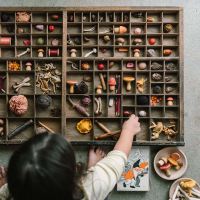 Pilze Set Mushroom Grove aus Holz 18 teilig