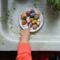 Blumen Set Flower Medow aus Holz 18 teilig