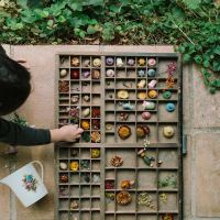 Blumen Set Flower Medow aus Holz 18 teilig