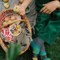 Obst Set Fruits aus Holz 12 teilig