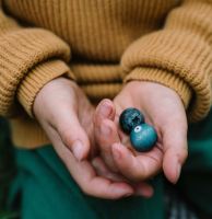 Obst Set Fruits aus Holz 12 teilig