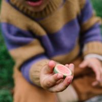 Obst Set Fruits aus Holz 12 teilig