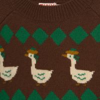 Sweater Wolle Gänse
