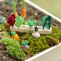 Build-a-Garden – Keimlingsbeet