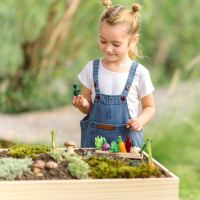 Build-a-Garden – Keimlingsbeet