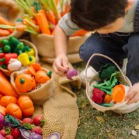 Korb mit Holzgemüse