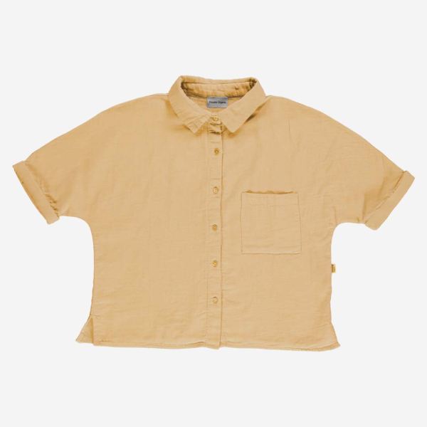 sahara sun