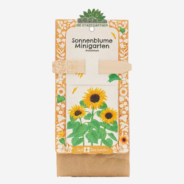 Sonnenblume