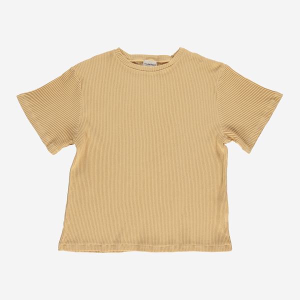 sahara sun