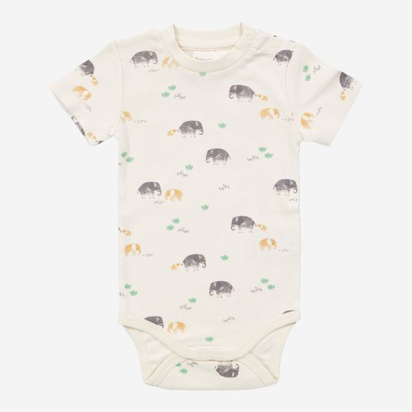 safari animals