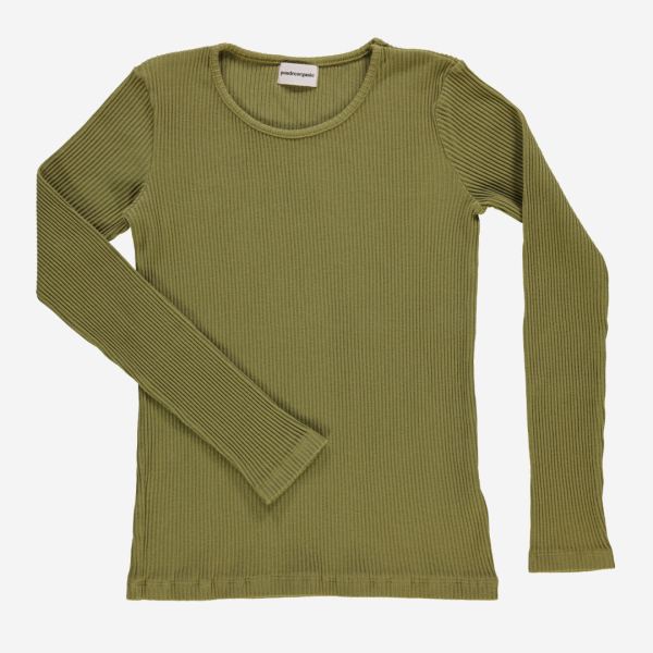 green moss
