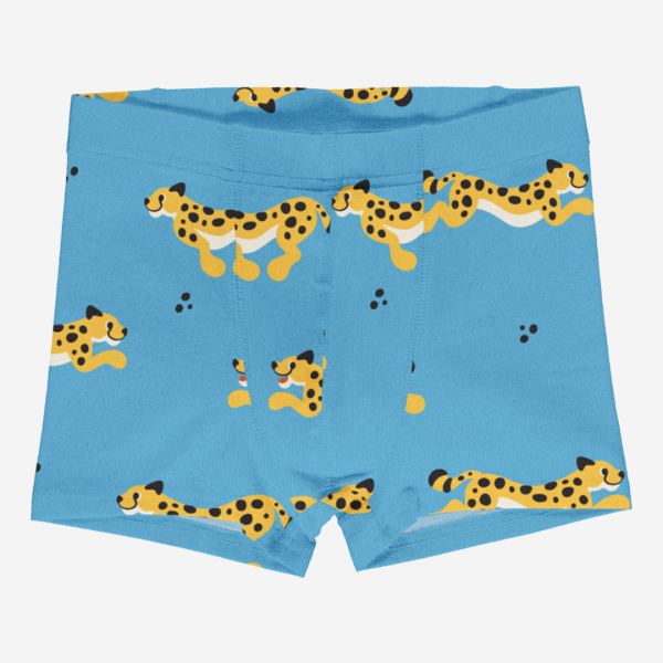 Cheetah