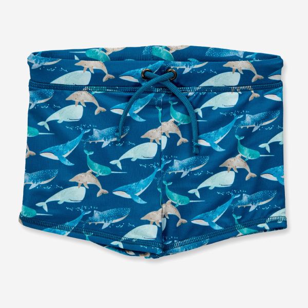 whales