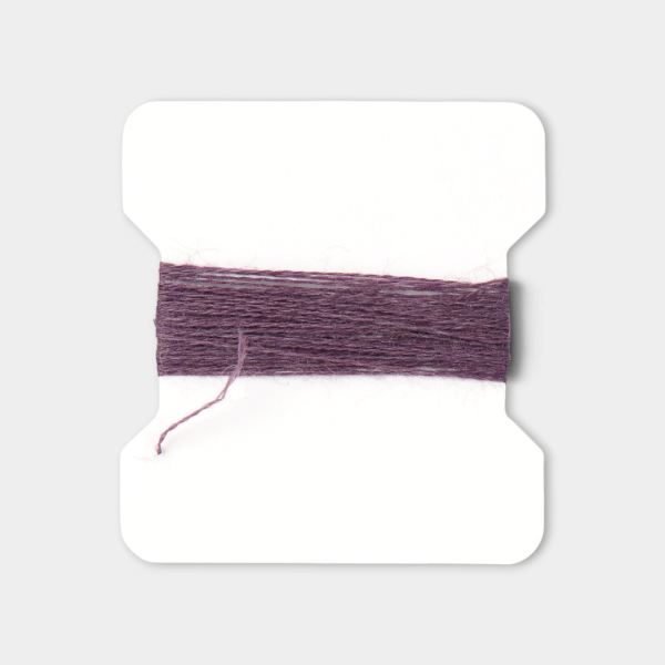 aubergine